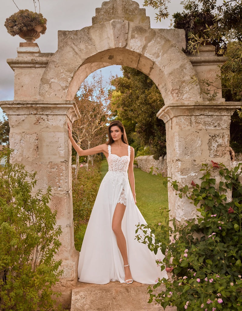 ALBERTO PALATCHI | ASHA