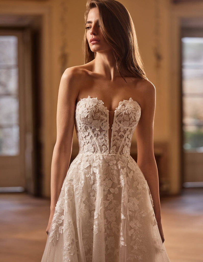 ALBERTO PALATCHI | JERRY