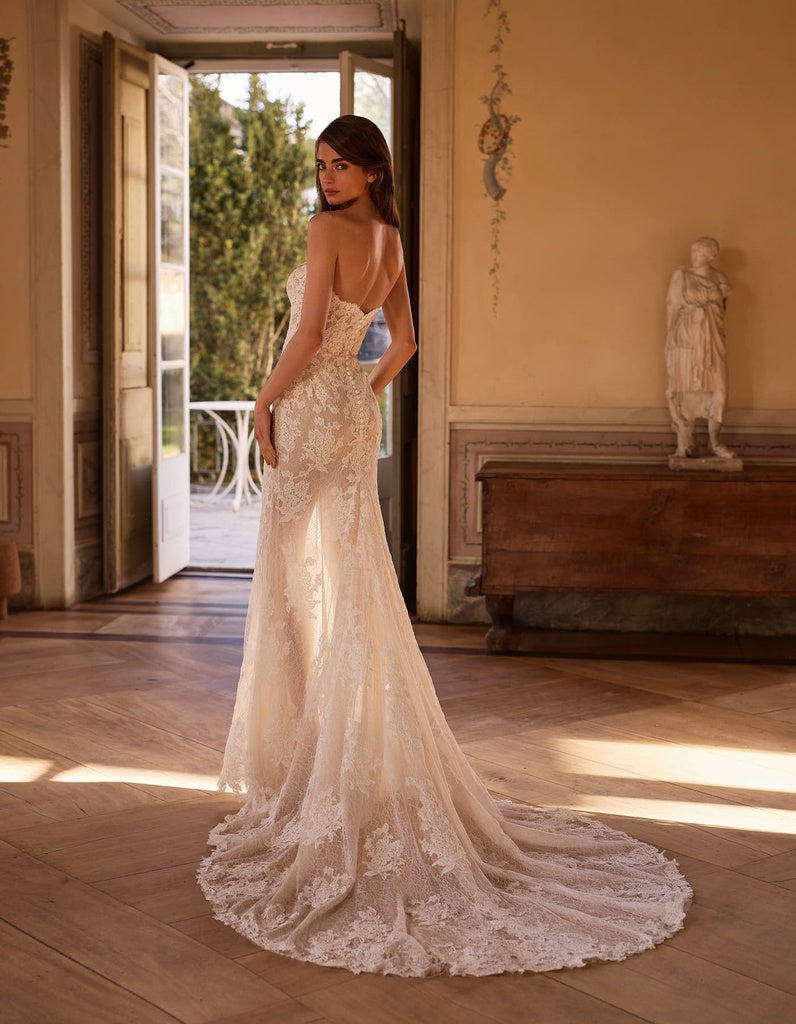 ALBERTO PALATCHI | NIEVES